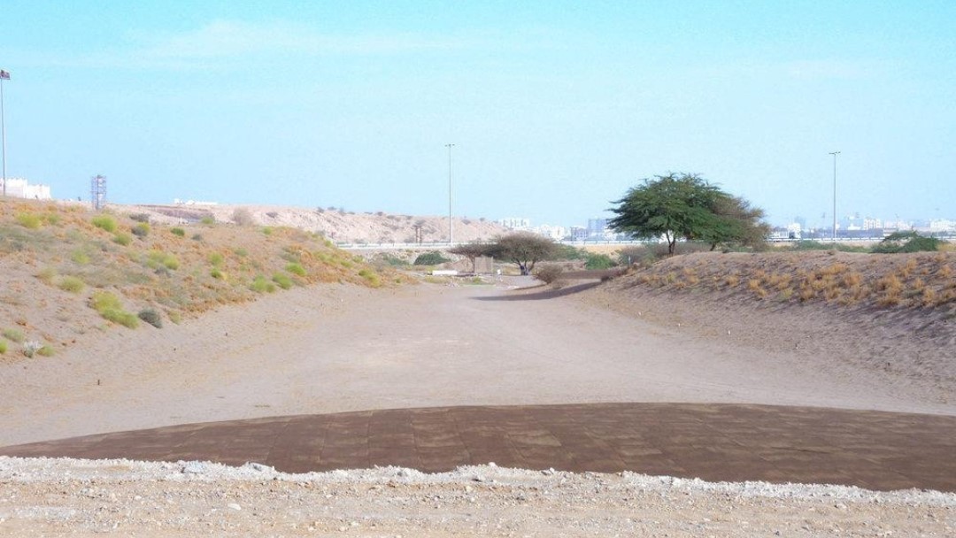 Growth of the Golf Community